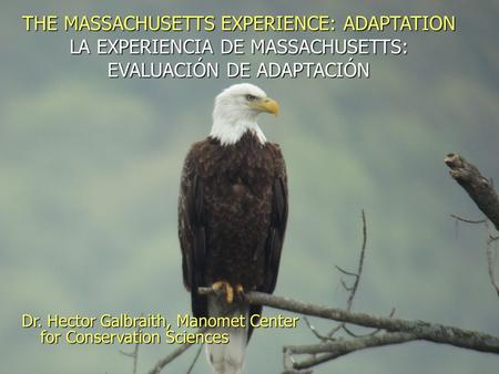 THE MASSACHUSETTS EXPERIENCE: ADAPTATION LA EXPERIENCIA DE MASSACHUSETTS: EVALUACIÓN DE ADAPTACIÓN Dr. Hector Galbraith, Manomet Center for Conservation.