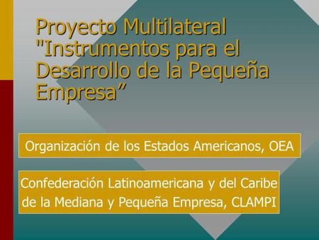 Proyecto Multilateral Instrumentos para el Desarrollo de la Pequeña Empresa Organización de los Estados Americanos, OEA Confederación Latinoamericana.