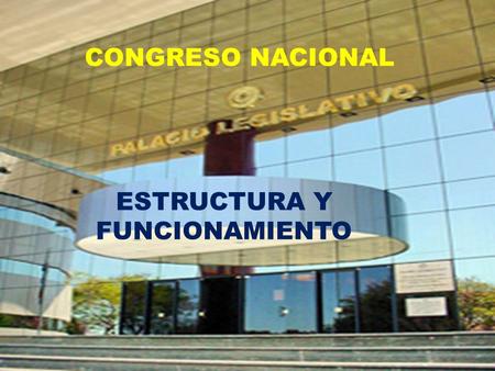 CONGRESO NACIONAL ESTRUCTURA Y FUNCIONAMIENTO. TEMAS DE COMPETENCIA DEL CONGRESO NACIONAL, COMISIONES LEGISLATIVAS.