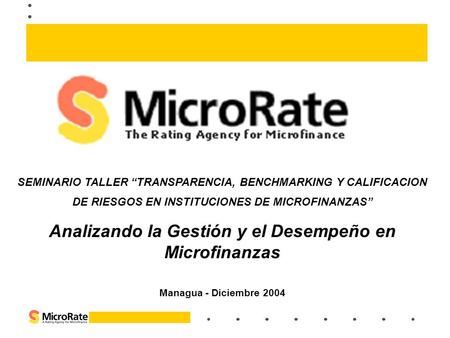 Analizando la Gestión y el Desempeño en Microfinanzas