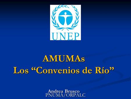 AMUMAs Los “Convenios de Río” Andrea Brusco