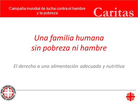 Campaña mundial de lucha contra el hambre