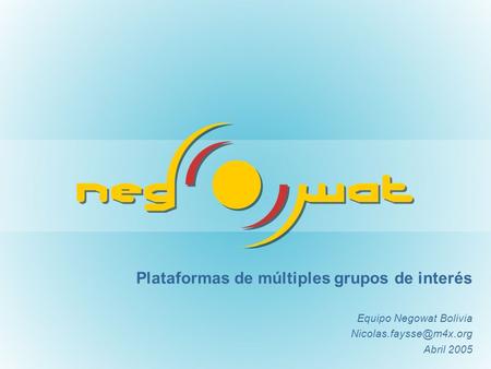 Plataformas de múltiples grupos de interés Equipo Negowat Bolivia Abril 2005.