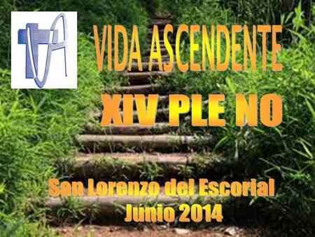 DURANTE LOS DÍA 10, 11 Y 12, EL MOVIMIENTO DE APOSTOLADO SEGLAR “VIDA ASCENDENTE” HA CELEBRADO SU XIV PLENO CON EL LEMA: “CAMINAR – CONSTRUIR – CONTEMPLAR”