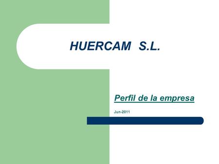 Perfil de la empresa Jun-2011