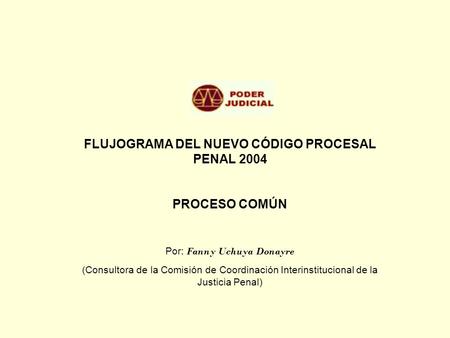 FLUJOGRAMA DEL NUEVO CÓDIGO PROCESAL PENAL 2004
