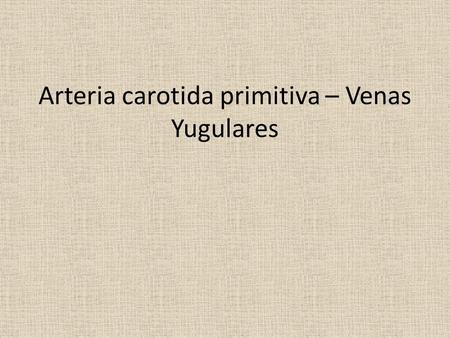 Arteria carotida primitiva – Venas Yugulares