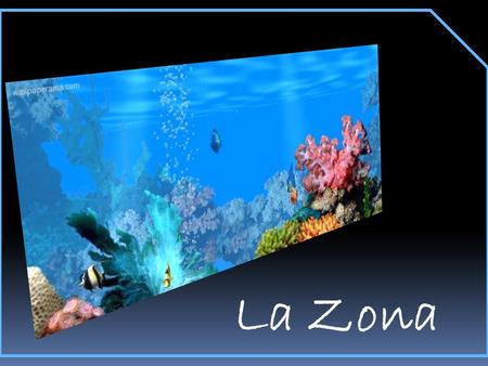 La Zona.
