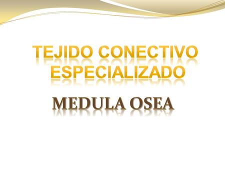 TEJIDO CONECTIVO ESPECIALIZADO MEDULA OSEA.