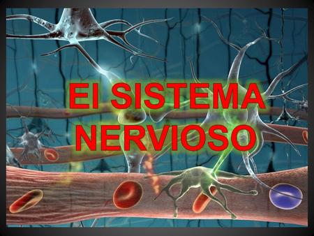 El SISTEMA NERVIOSO.