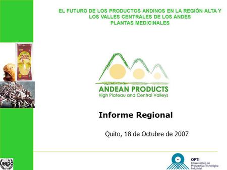 Quito, 18 de Octubre de 2007 EL FUTURO DE LOS PRODUCTOS ANDINOS EN LA REGIÓN ALTA Y LOS VALLES CENTRALES DE LOS ANDES PLANTAS MEDICINALES Informe Regional.