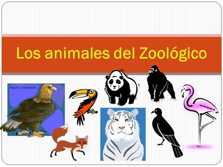 Los animales del Zoológico