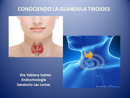 CONOCIENDO LA GLANDULA TIROIDES