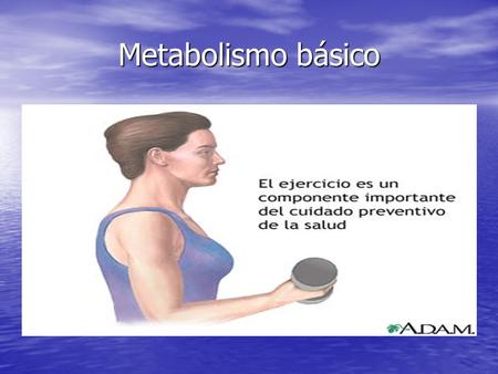 Metabolismo básico.