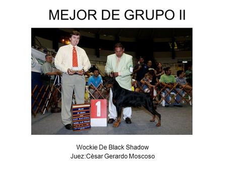 MEJOR DE GRUPO II Wockie De Black Shadow Juez:Cèsar Gerardo Moscoso.