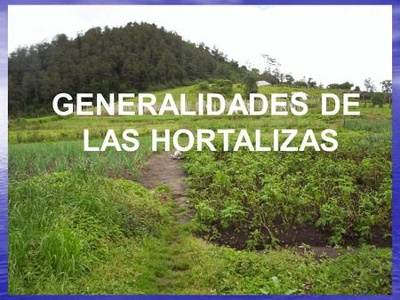 GENERALIDADES DE LAS HORTALIZAS.