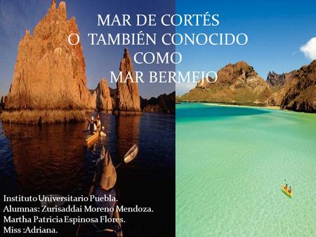 MAR DE CORTÉS O TAMBIÉN CONOCIDO COMO MAR BERMEJO Instituto Universitario Puebla. Alumnas: Zurisaddai Moreno Mendoza. Martha Patricia Espinosa Flores.
