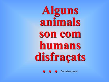 Alguns animals son com humans disfraçats... Entreten¡ment.