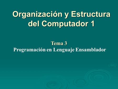 Organización y Estructura del Computador 1
