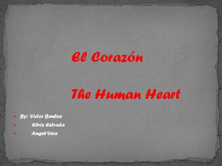 El Corazón The Human Heart By: Victor Benlice Elvis Estrada Angel Vera.