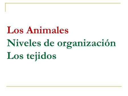 Los Animales Niveles de organización Los tejidos