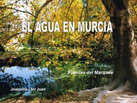 Fuentes del Marqués Joaquina Llor Juan. En Murcia se llaman Rincones y durante siglos han vivido de la agricultura gracias a la proximidad del cauce fluvial.