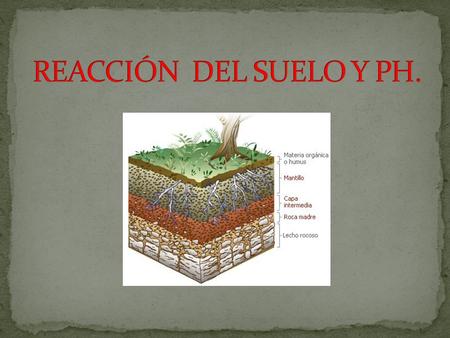 REACCIÓN DEL SUELO Y PH..