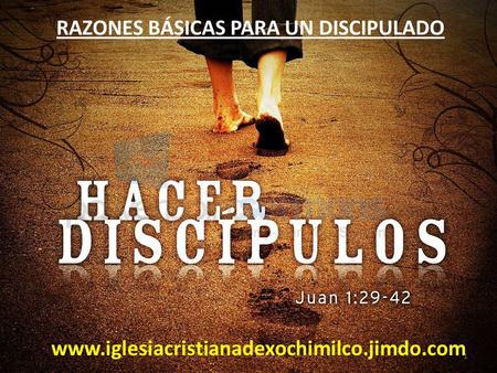 RAZONES BÁSICAS PARA UN DISCIPULADO