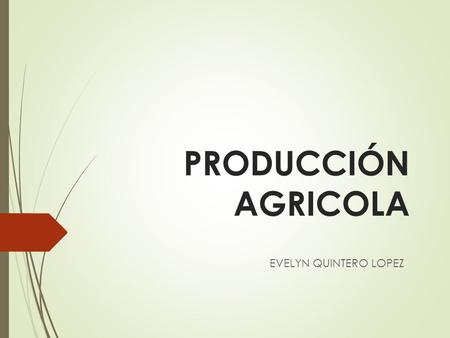 PRODUCCIÓN AGRICOLA EVELYN QUINTERO LOPEZ.