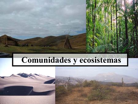 Comunidades y ecosistemas