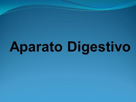 Aparato Digestivo.