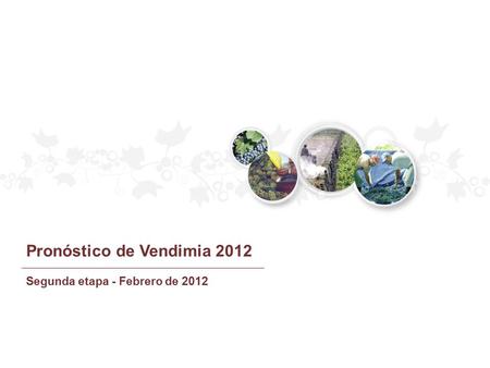 Pronóstico de Vendimia 2012 Segunda etapa - Febrero de 2012.
