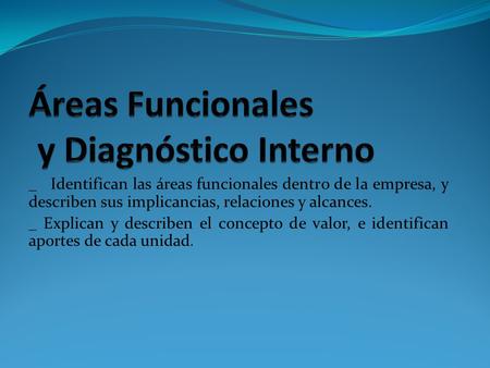 Áreas Funcionales y Diagnóstico Interno