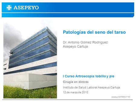 Patologías del seno del tarso