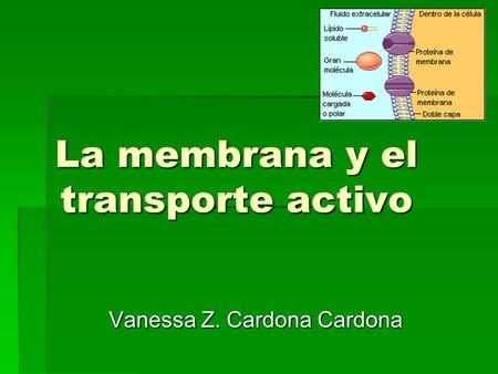 La membrana y el transporte activo