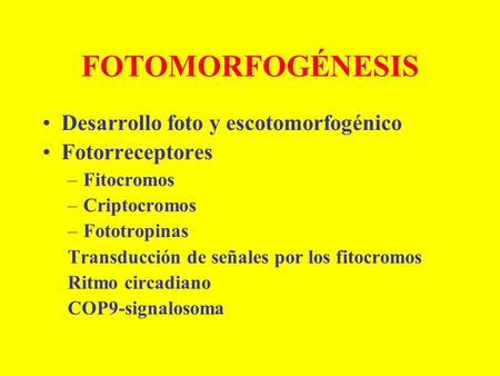 FOTOMORFOGÉNESIS Desarrollo foto y escotomorfogénico Fotorreceptores