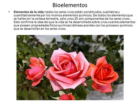 Bioelementos Elementos de la vida: todos los seres vivos están constituidos, cualitativa y cuantitativamente por los mismos elementos químicos. De todos.