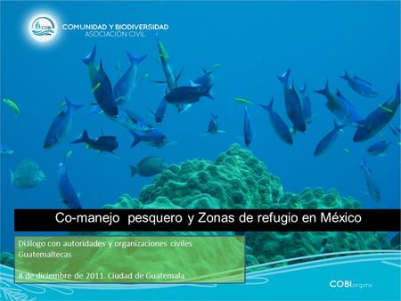 Co-manejo pesquero y Zonas de refugio en México