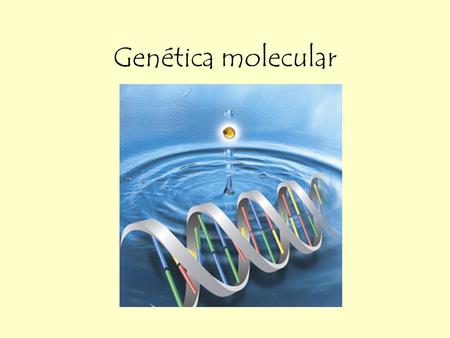 Genética molecular.