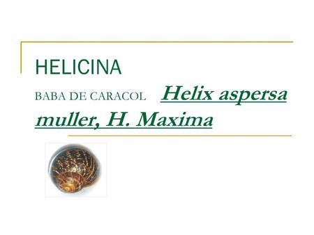 HELICINA BABA DE CARACOL Helix aspersa muller, H. Maxima