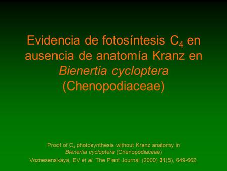 Evidencia de fotosíntesis C 4 en ausencia de anatomía Kranz en Bienertia cycloptera (Chenopodiaceae) Proof of C 4 photosynthesis without Kranz anatomy.