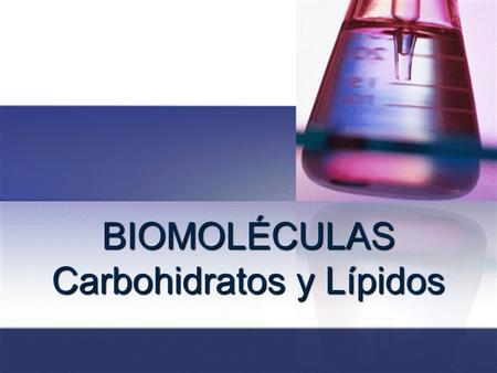 BIOMOLÉCULAS Carbohidratos y Lípidos