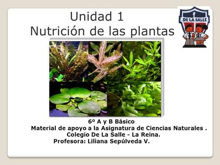 Unidad 1 Nutrición de las plantas
