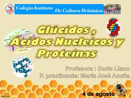 Glúcidos , Ácidos Nucleicos y Proteinas