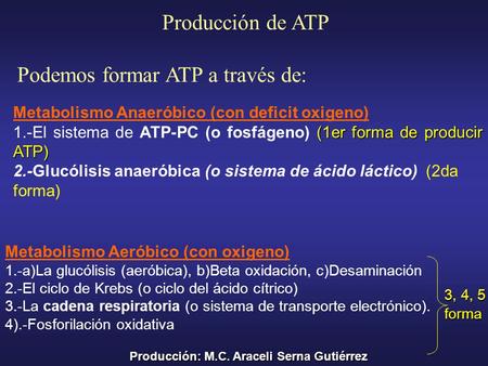 Podemos formar ATP a través de: