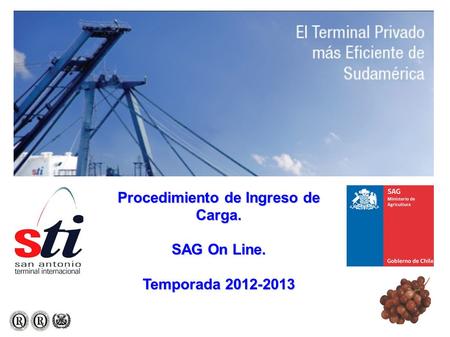 Procedimiento de Ingreso de Carga. SAG On Line. Temporada 2012-2013.
