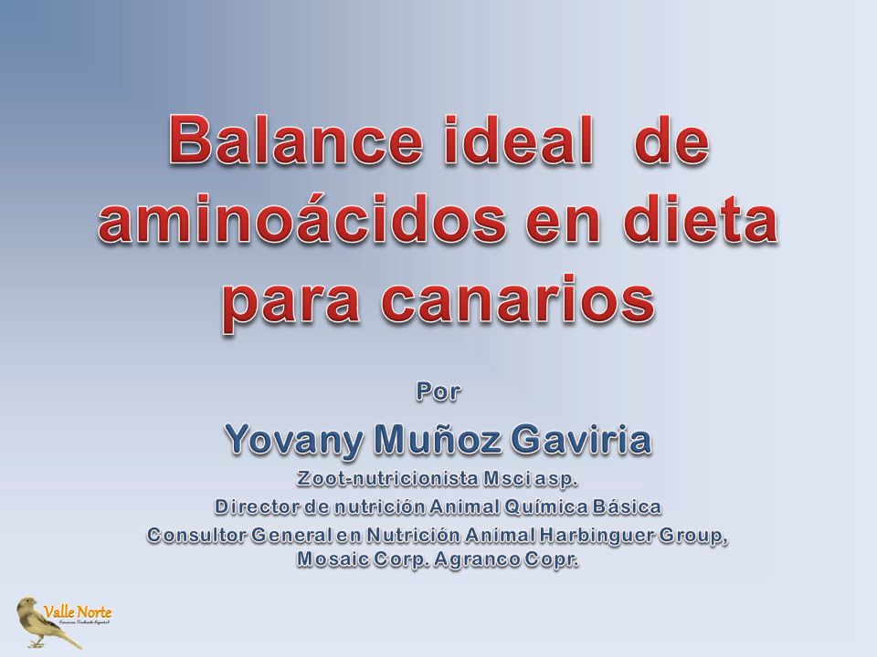 Balance ideal de aminoácidos en dieta para canarios - ppt descargar Balance ideal de aminoácidos en dieta para canarios - ppt descargar