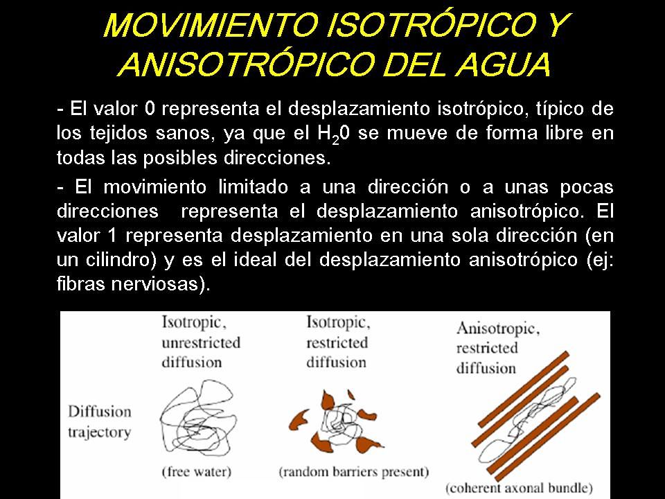 isotrópico-y-anisotrópico-español - IMA