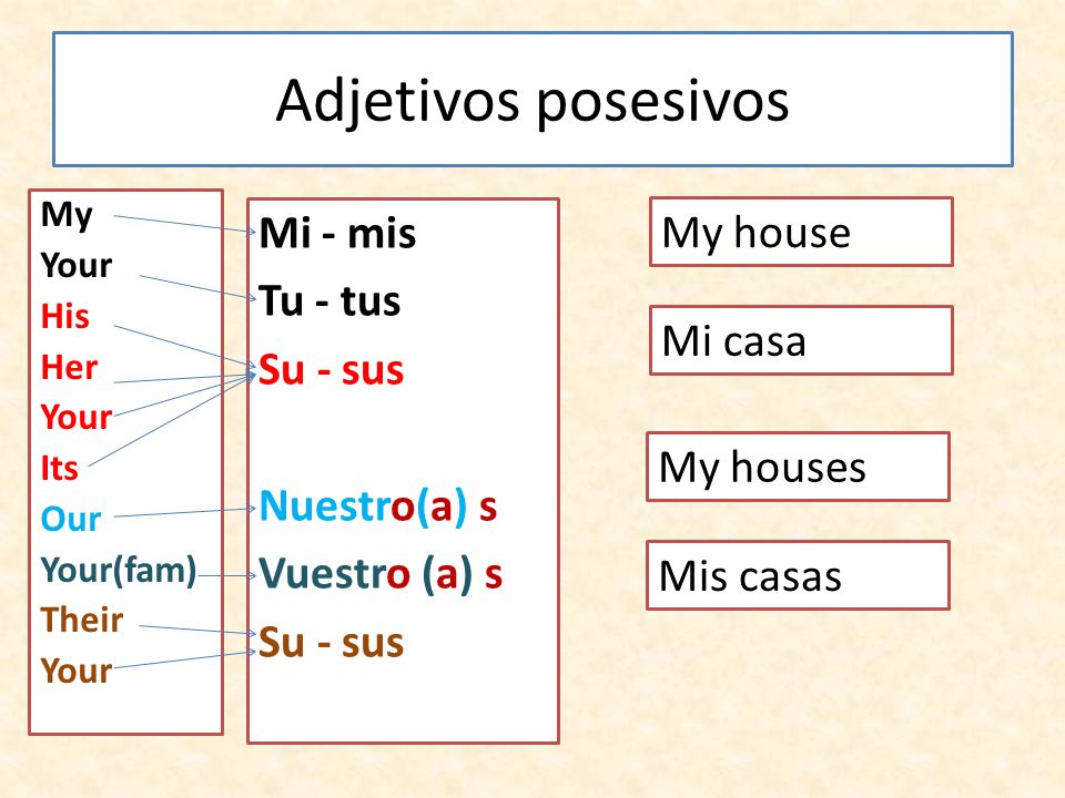 PPT Los Adjetivos Posesivos – Possessive Adjectives, 49% OFF