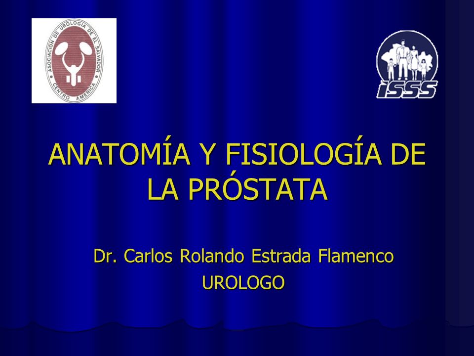 fisiologia de la prostata ppt